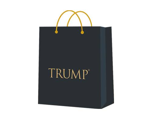 Carry Bag Printing 